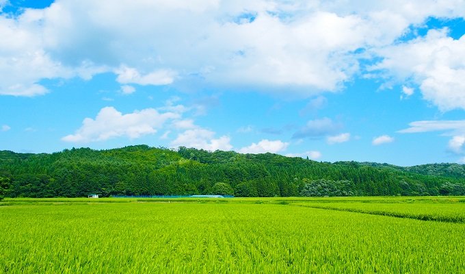 食料の他国依存度高い日本　　小視曽四郎 農政ジャーナリストの写真