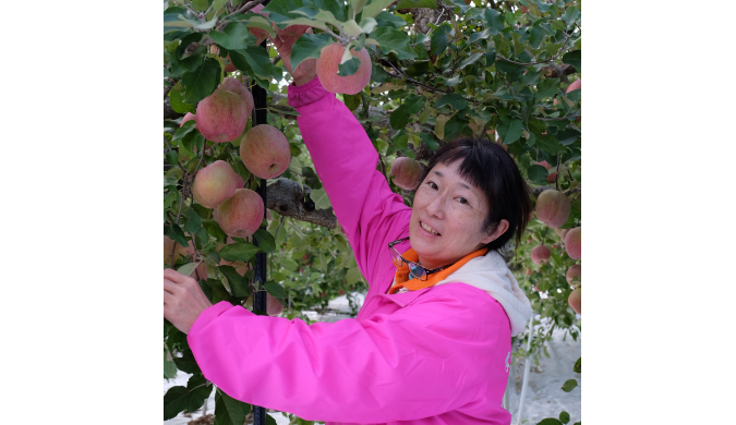 誠意込め果物届ける　　農園支える元ビジネスウーマン　　山田昌邦 共同通信福島支局長の写真