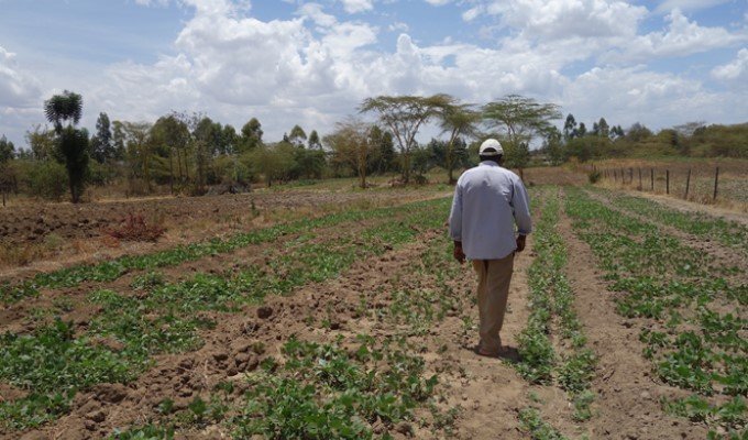小規模農家に利益もたらす？　　広がる契約農業　　連載「アフリカにおける農の現在（いま）」第8回の写真