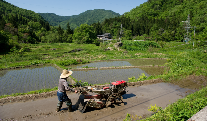熊本が宮崎抜き5位　　2位鹿児島は2.4％減　　20年の農業総産出額の写真