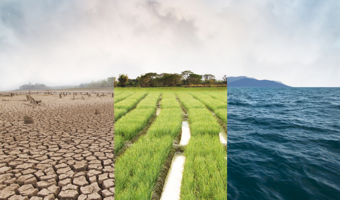 栽培技術改良や品目転換が急務　　気候変動は農業変える「チャンス」　　前田佳栄 日本総合研究所創発戦略センターコンサルタントの写真