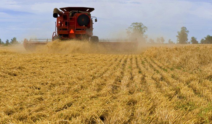 穀物輸出が過去最高水準　　オーストラリア、港湾などインフラ限界に　　NNAオーストラリアの写真