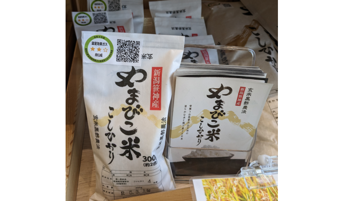 消費者反応を「見える化」　　青山浩子 新潟食料農業大学准教授　　連載「グリーン＆ブルー」の写真
