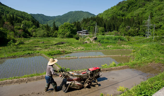 基本法改正案から伝わる意外なメッセージ　　小視曽四郎 農政ジャーナリスト　　連載「グリーン＆ブルー」の写真