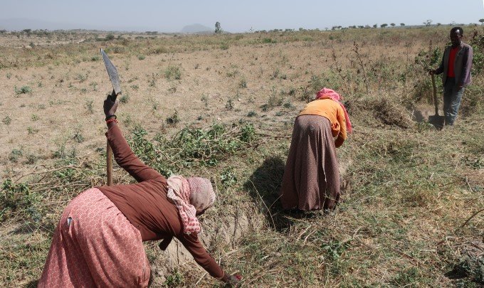 広がったキャッシュ・フォー・ワーク　　被支援者の主体性強化　　　連載「アフリカにおける農の現在（いま）」第6回の写真