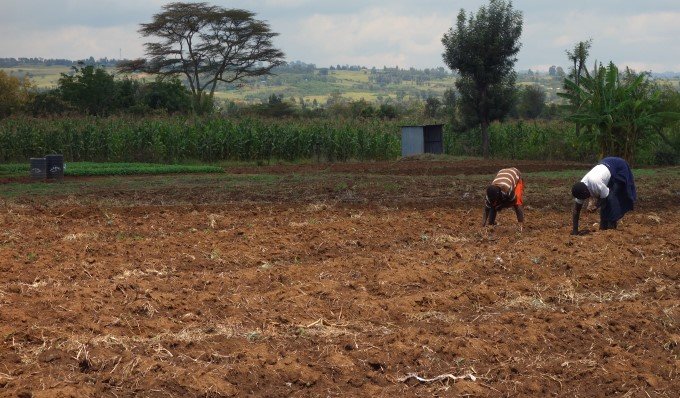 希望の大陸？ 人口増加と世界　　連載「アフリカにおける農の現在(いま)」 第1回の写真