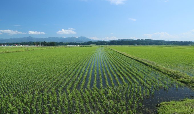 企業の農地取得は食料自給の放棄　　小視曽四郎 農政ジャーナリストの写真