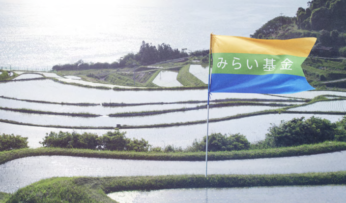 沖縄のコーヒー生産など7事業に　　農林水産業みらい基金の助成決定の写真