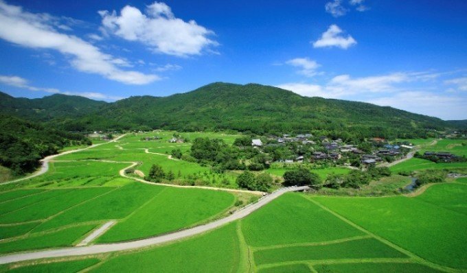 「領主」に「荘園米」50キロ　　大分・田染小崎の水田オーナー募集　　の写真