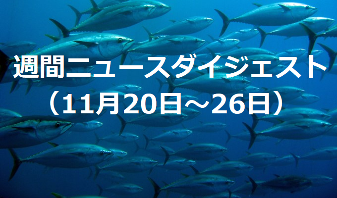 外食売り上げコロナ前超え　　週間ニュースダイジェスト（11月20日～26日）の写真