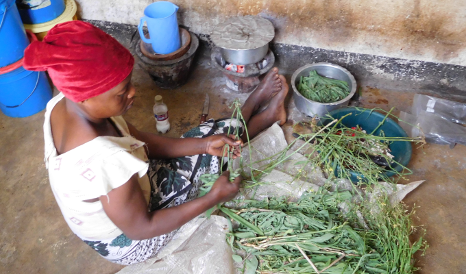暮らし支える「消えない木炭」　　経済性高く、料理に合う　　連載「アフリカにおける農の現在（いま）」第20回の写真