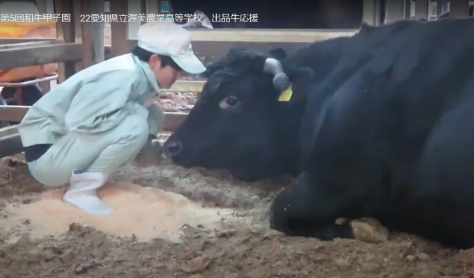 高校「牛児」日本一に愛知・渥美農業　　和牛甲子園、オンラインで開催の写真