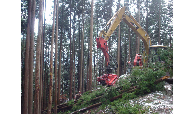 林業のもうけ、森林所有者に恩恵を　　赤堀楠雄 材木ライター　　連載「グリーン＆ブルー」の写真