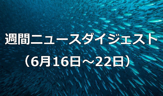 電気ガス料金軽減策復活　　週間ニュースダイジェスト（6月16日～6月22日）の写真