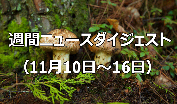 第2次石破内閣発足　　週間ニュースダイジェスト（11月10日～11月16日）の写真