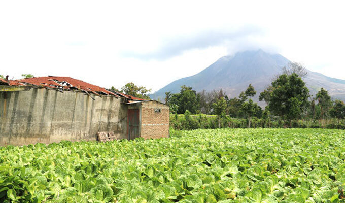 噴火リスク負う肥沃な大地　農業大国インドネシアの食料安全保障（2）　　NNAの写真