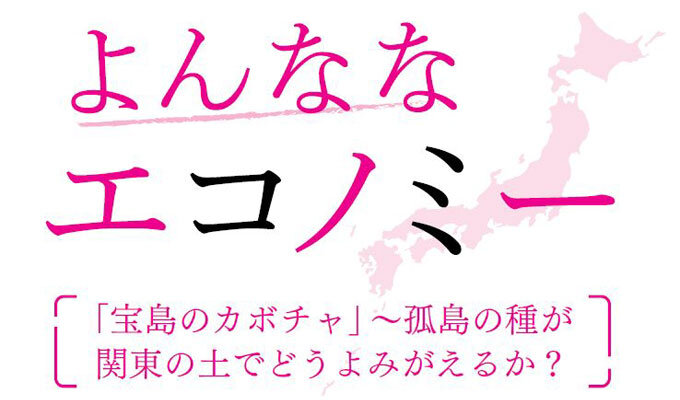 「宝島のカボチャ」～孤島の種が関東の土でどうよみがえるか？　　菅沼栄一郎 ジャーナリスト　　連載「よんななエコノミー」の写真